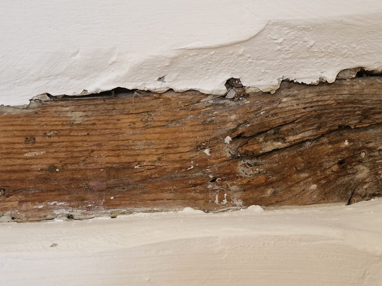 Detail of wall - artisan interior